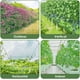 thumbnail image 5 of Red de escalada de jardín Malla de celosía de poliéster | Enrejado cuadrado de alta resistencia para vides, verduras, flores | Blanco, fácil configuración, corte a medida | Grado comercial, material, 5 of 7