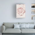 thumbnail image 2 of 1x Studio III 'Pink Rose No 02' Canvas Art, 2 of 4