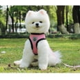 thumbnail image 5 of Juego de chaleco y correa para perros para caminar con gatos y cachorros Arnés de malla suave para cachorros Arnés de chaleco ajustable para gatos Adepaton CPB-US-ZMR14-8, 5 of 5