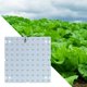 thumbnail image 4 of LED Grow Light Panel 50W Full Grow Light Plantas de jardín impermeables Grow Lamp para Luz Cálida 81 Leds shamjiam jardineras Grow Light, 4 of 7