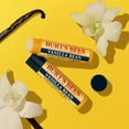 Burt's Bees 100 Natural Moisturizing Lip Balm, Vanilla Bean, 2 Tubes