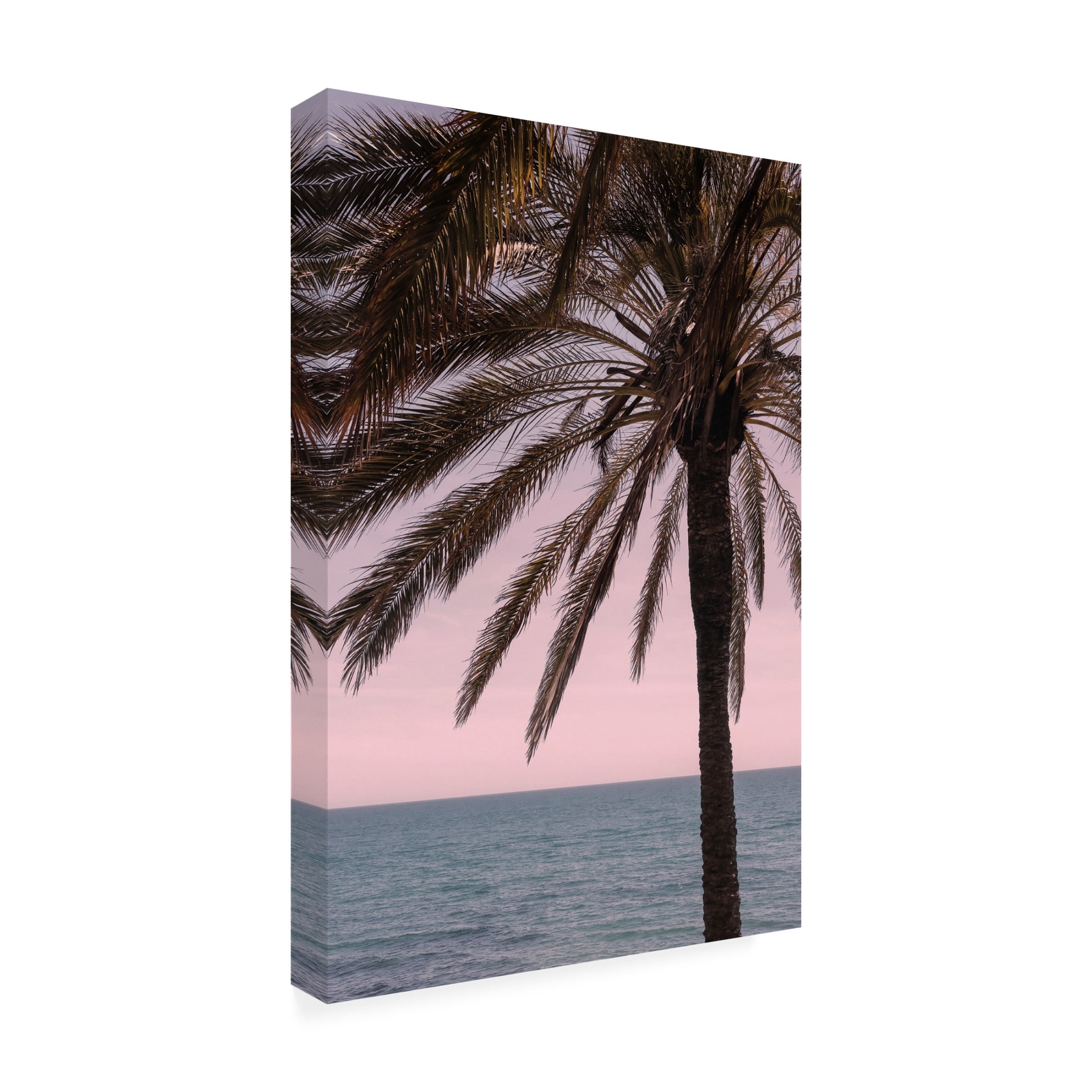 Trademark Fine Art Pictufy Studio III Palm 10 Canvas Wall Art
