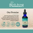 thumbnail image 5 of Birth Song Botanicals Fertile Ground Fertility Support Tincture Natural Fertility Supplement 2oz Bottle, 5 of 7