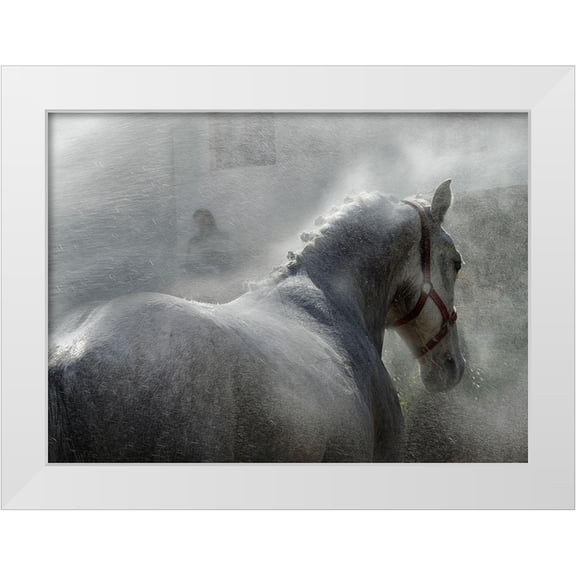 Malovrh, Milan 14x11 White Modern Wood Framed Museum Art Print Titled - gramy