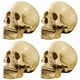 thumbnail image 1 of 4X Modelo 1: 1 Resina Cráneo Humano Anatomía Enseñanza Decoración Amarillo, 1 of 4