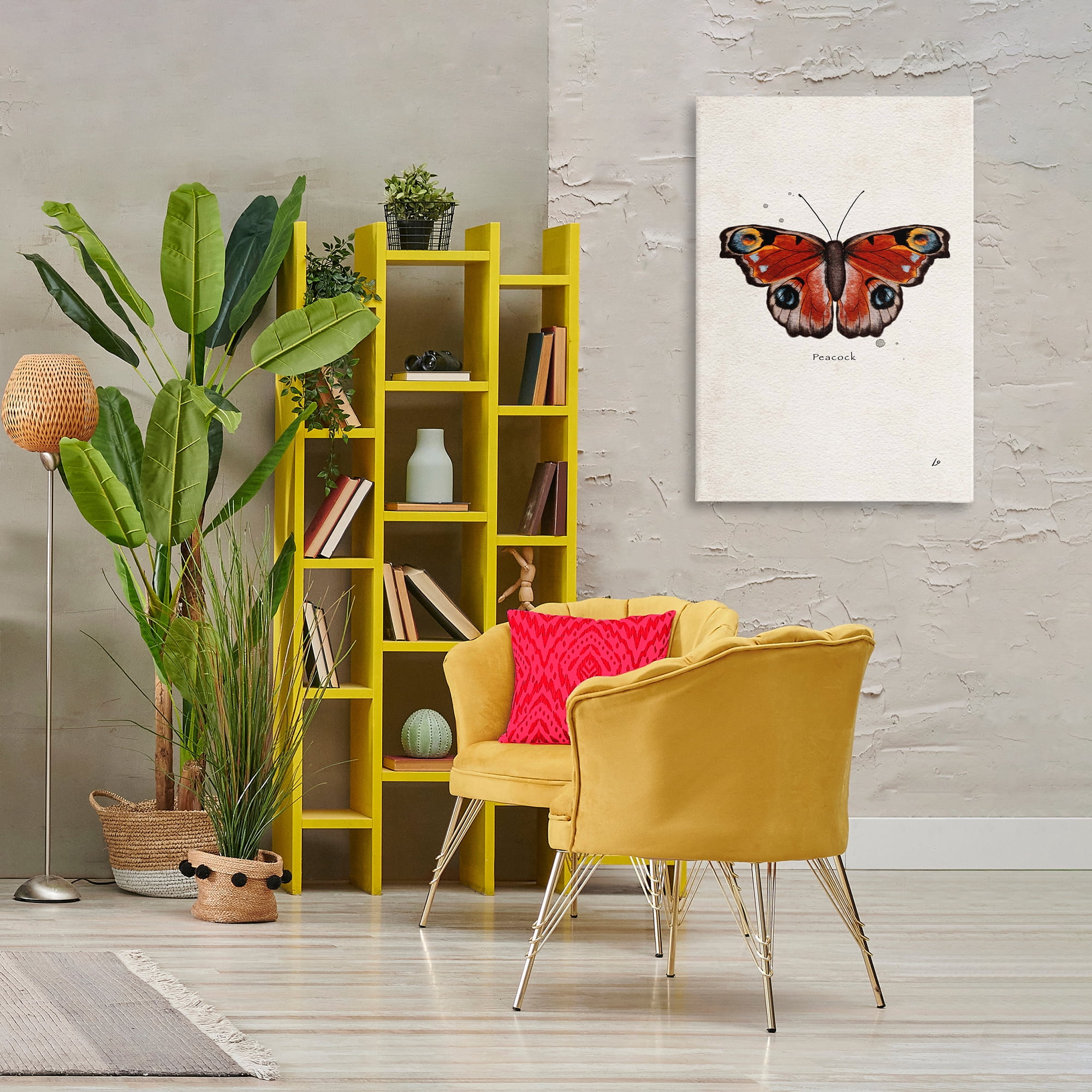 Stupell Industries Peacock Butterfly Study Insects Painting Wrapped Canvas Art Print Wall Art, 24 x 36