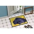 thumbnail image 2 of Carolines Treasures SS8839JMAT Pomeranian Doormat 24x36 36"L x 24"W multicolor, 2 of 4