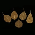 thumbnail image 4 of Hoja Seca para Artesanías Álbum Recorte Fabricación Tarjeta Decoración Casa Joyería Caja Teléfono DIY Baoblaze Hojas secas prensadas naturales, 4 of 8