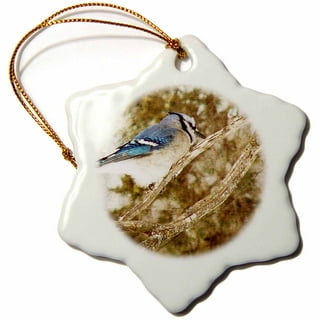 Blue Jay Holiday Wreath Stain Glass