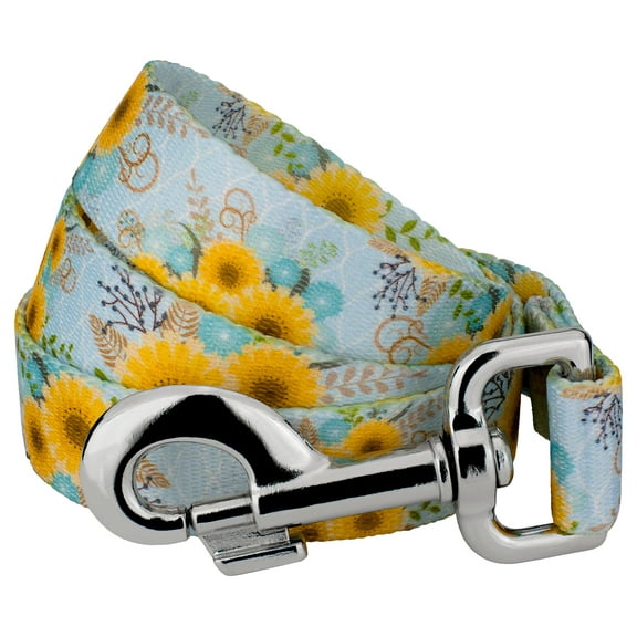 Country Brook Petz® 5/8 inch Sunny Days Dog Leash, 4 Foot