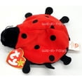 thumbnail image 5 of Ty Beanie Babies Lucky the Ladybug Plush for Kids, 5 of 6