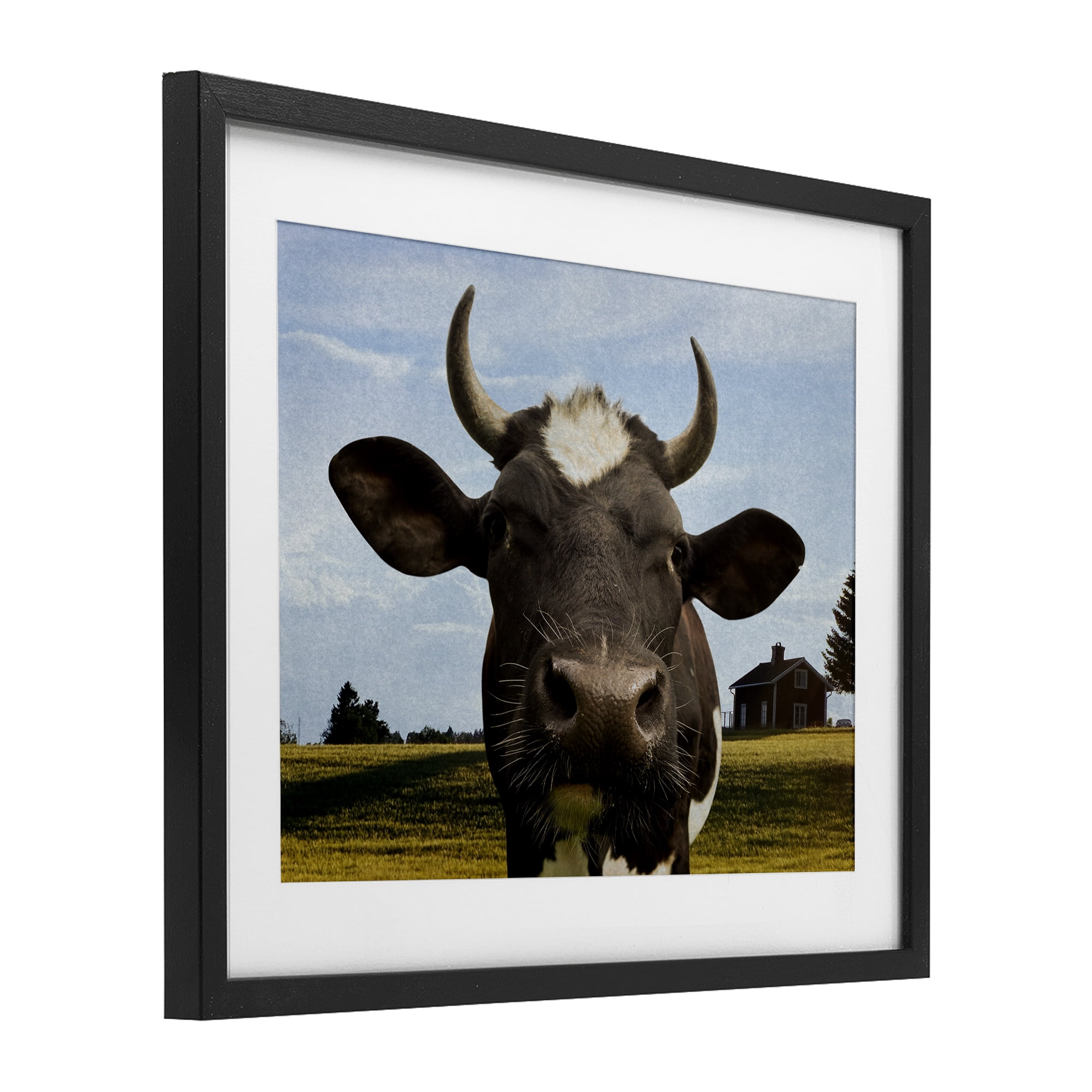 Stupell Industries Farm Cow with Curved Horns Black Framed Print Under Glass, design by Marcus Prime