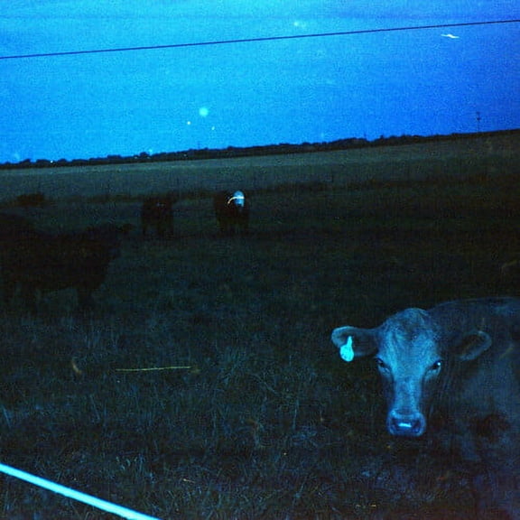 Waveform* - Antarctica - Dark Blue - Music & Performance - Vinyl