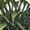 Black, variant on WLGJL Insect and Butterfly Habitat Cage Terrarium Pop-up 23.6 Inches Tall