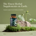 thumbnail image 3 of Gaia Herbs Menopause Support Daytime - Helps Support Hormone Balance & Well-Being for Women* - with Vitex, Black Cohosh, St. John's Wort & Oats - 60 Vegan Liquid Phyto-Caps (60 Servings), 3 of 9