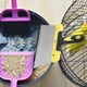 thumbnail image 5 of Raspador de excrementos de paloma, removedor de excrementos de aves, raspador de limpieza de excrementos de aves de metal, 5 of 5