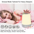 thumbnail image 4 of Touch Wake Up Night Light with Sunrise Simulation Alarm Clock, 3 Ways Dimmable Warm White Bedside Lamp RGB Atmospheric Table Bedside Lamp, Timer Mode, 4 of 5