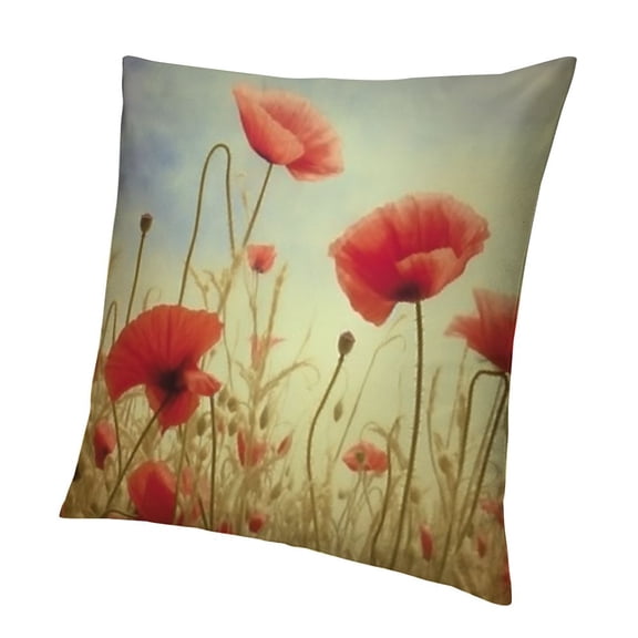 Poppies Throw Pillow Cases, Grunge Poppy Flower Field Decorative Throw Pillow Cover, Square Pillow Cushion Case Home Decor