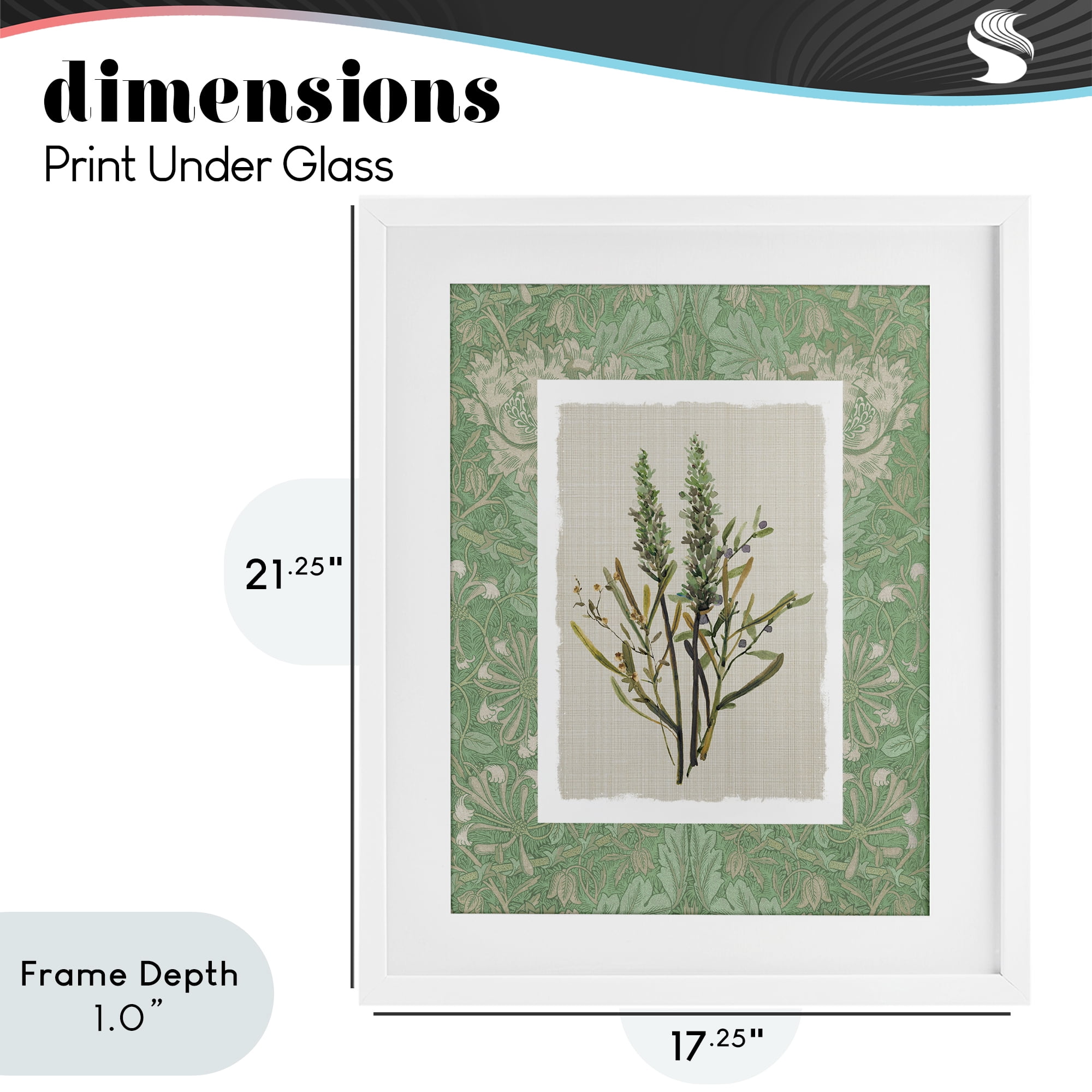 Stupell Industries Antique Foliage in Green White Framed Print Under Glass, design by Carol Robinson