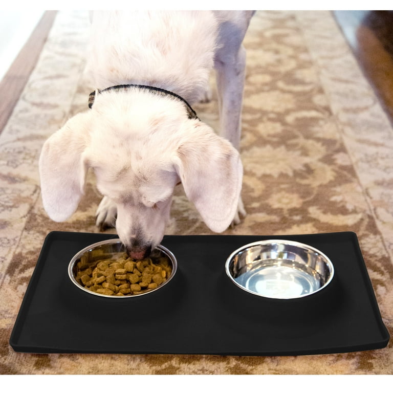 Double Dog Bowl Feeding Station, Skid Proof Silicone Base Mat with Spill  Proof Raised Lip & Two 12oz Stainless Steel Bowls for Food and Water, Ideal