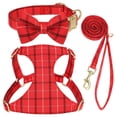 thumbnail image 1 of Juego de arnés, collar y correa para perros Beirui Cute, extra pequeño, 1 of 5