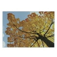 thumbnail image 3 of Leaves Cutting Board, Autumn Maple Tree from Bottom to Top View Environment Flora Season November Print, Decorative Tempered Glass Cutting and Serving Board, Small Size, Orange Blue, by Ambesonne, 3 of 5