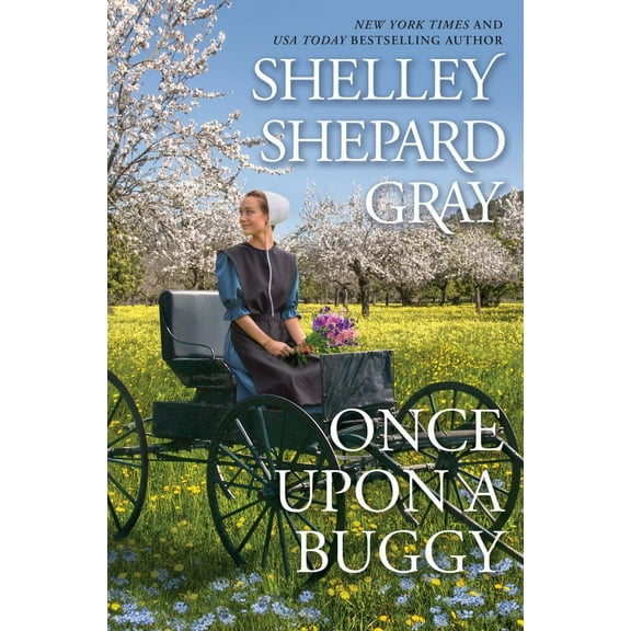 Once upon a Buggy (Paperback)