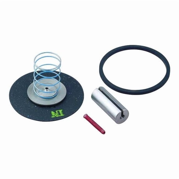 Dayton Valve Rebuild Kit,Instructions,3/4 in. 066049