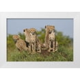 thumbnail image 3 of Susann Parker 32x22 White Modern Wood Framed Wall Art Titled - The Tribe, 3 of 5