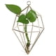 thumbnail image 5 of Decoración de pared moderna para el hogar, soporte geométrico de metal para plantas de aire, 5 of 8
