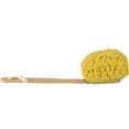 Bah & Shower Body Brush, Long Handled, Faux Sea Sponge Back Scrubber