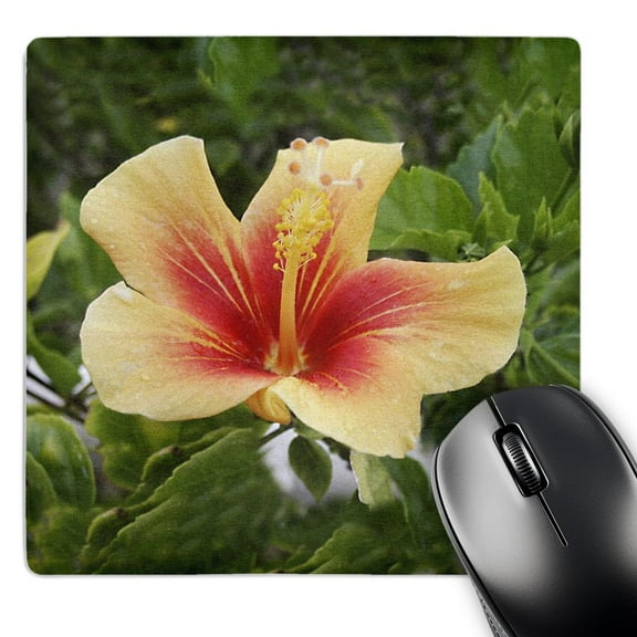 3dRose, Red and Yellow Hibiscus, MousePad