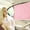 F, variant on taicans Car Window Shades,Side Window Sun Shade Privacy Sunshade,Car Privacy Curtains Universal Divider Curtain Between Rear Seat Auto Blackout Sun Shades Side Window Covers（F)