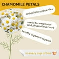 thumbnail image 4 of Healblend Chamomile Lemongrass Loose Herbal Tea - Calming Chamomile Petals & Refreshing Lemongrass Leaves - Natural Sleep Support & Stress Relief - Caffeine-Free 4 oz, 4 of 9