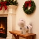 thumbnail image 5 of 13.78inches/35cm Cartoons Cute Little Horses Doll Christmas Decoration Plushs Toy Festival Doll 2026 Year Of The Horses Gift, 5 of 6