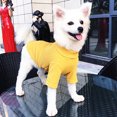 thumbnail image 3 of SPRING PARK Pet Dog Clothes Solid Color Dog Soft Texture Shirt Dogs Shirt Casual Puppy Sweater for Dogs, 3 of 7