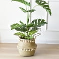 thumbnail image 3 of Cesta de almacenamiento Baoblaze Cesta de pastos marinos decorativa S, 3 of 8