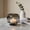 Clear#3134, variant on Modern Hand-Blown Glass Vase and Candlestick Holder, Clear Thick Glass Desktop Flower Bud Vessel and Taper Candle Stand for Home Decor