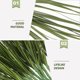 thumbnail image 3 of IFANLANDOR 10Ud Plantas Artificiales Resistentes Para Exteriores Y De Balcones, 3 of 7