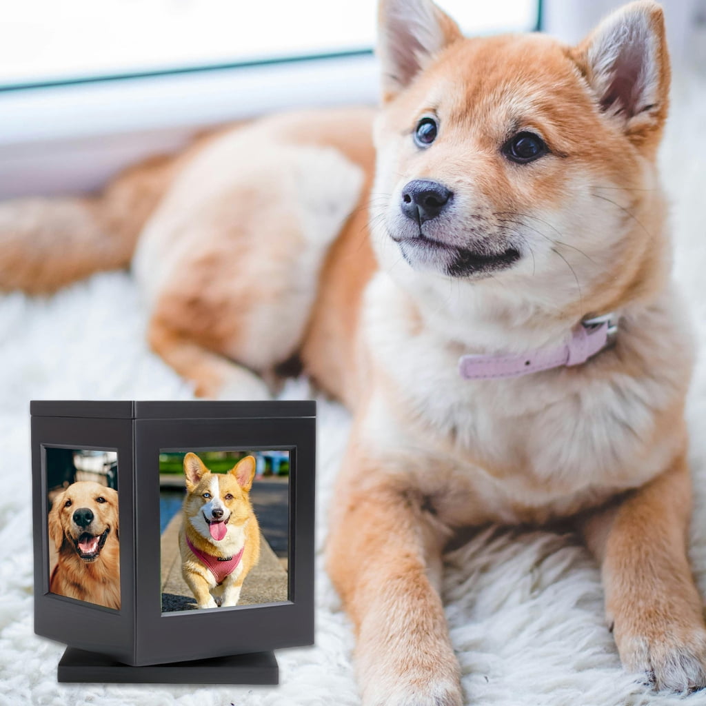 Cats Cremation Urn Pet Ashes Box for Pet Remembrance Pet Memorial Ashes Container
