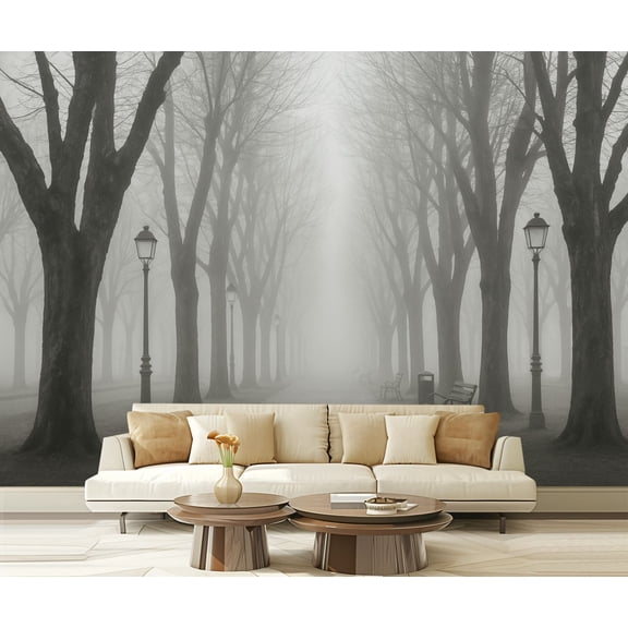 Peel and Stick Wallpaper Waterproof City promenade black white view misty morning winter time Wall Mural Decor Self Adhesive and Removable 69in x 98in