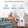 thumbnail image 4 of Humidificador LEVOIT LV600S Smart Warm/Cool Mist 6L para 70 m², 4 of 9