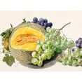 thumbnail image 2 of van Huysum, Michiel 14x12 Black Ornate Wood Framed with Double Matting Museum Art Print Titled - Fruits II, 2 of 4