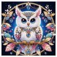 thumbnail image 5 of Showy Fighting Owl Diamond Art Painting Kit, 5 of 8