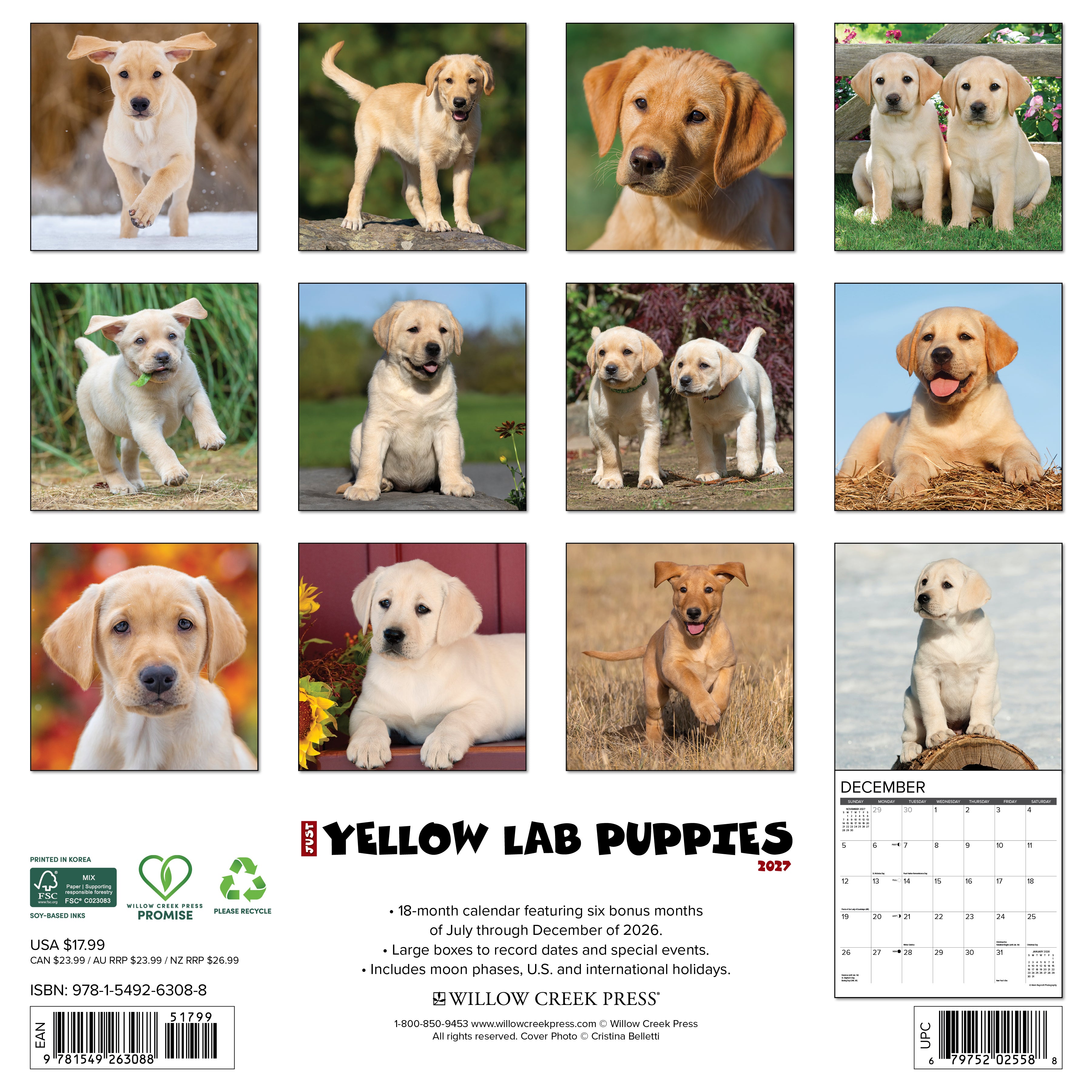 Willow Creek Press, Yellow Lab Puppies 2027 Wall Calendar
