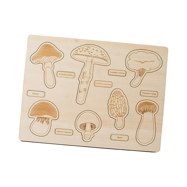 Rompecabezas Montessori del Ciclo de Vida, Rompecabezas Montessori de Madera con Dibujos Animados Champiñón