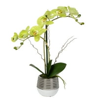 Vickerman 19.5" Artificial Green Phalaenopsis In Metal Pot.
