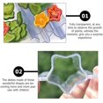 thumbnail image 4 of 4pcs Cucumber Mould Transparent Vegetable Fruit Planting Mould Growth Observation, 4 of 5