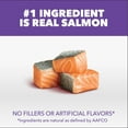 thumbnail image 4 of IAMS Proactive Health 1-12 Months Healthy Kitten with Salmon Kitten Food 16 lb, 4 of 7