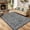 Black, variant on Runner Rug for Entryway, 2x6 Non-Slip Washable Stain-Resistant Ultra-Thin Carpet Soft Floral Low Pile Rug for Kitchen, Entryway, Hallway, Bathroom, Laundry, Dorm